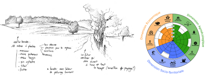 Dessin : Alain Freytet, Diagnostic IDEA4 : CEV